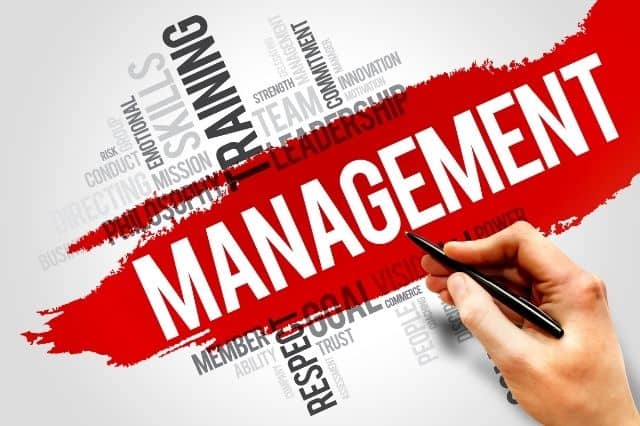what-is-management